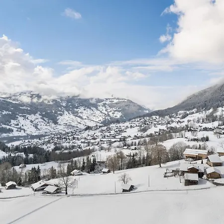 Steinbillen By Interhome Appartement Grindelwald