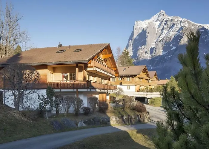 Steinbillen By Interhome Apartamento Grindelwald