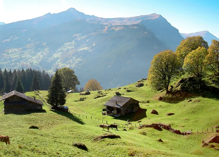 Steinbillen By Interhome